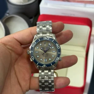 Omega Seamaster (13)