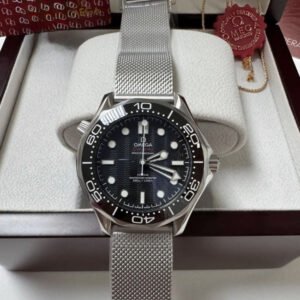 Omega Seamaster (17)