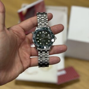Omega Seamaster (3)