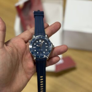 Omega Seamaster (5)